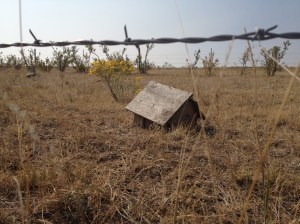 2012-09-13 12.32.44 (2)