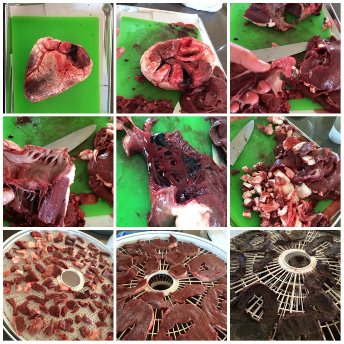 collage_beef_heart